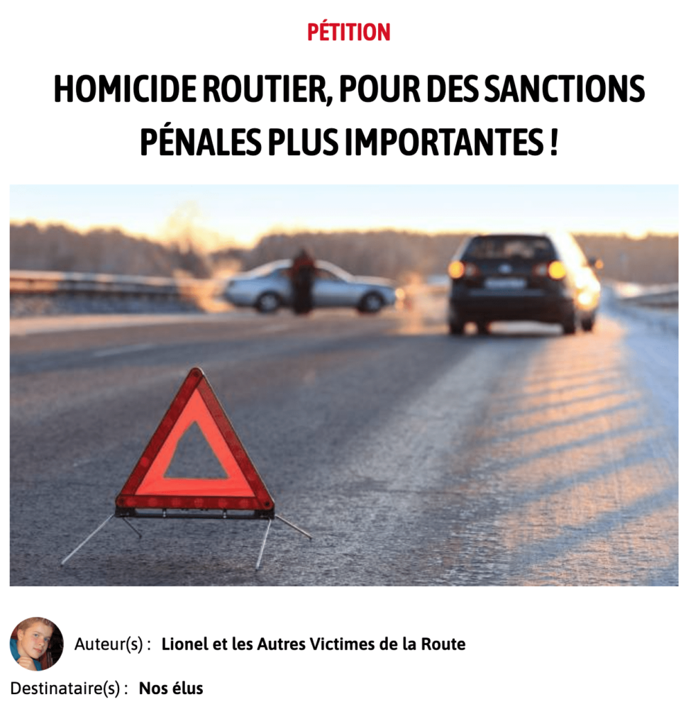 Affiche Pétition Homicide routier pour des sanctions pénales plus importantes
